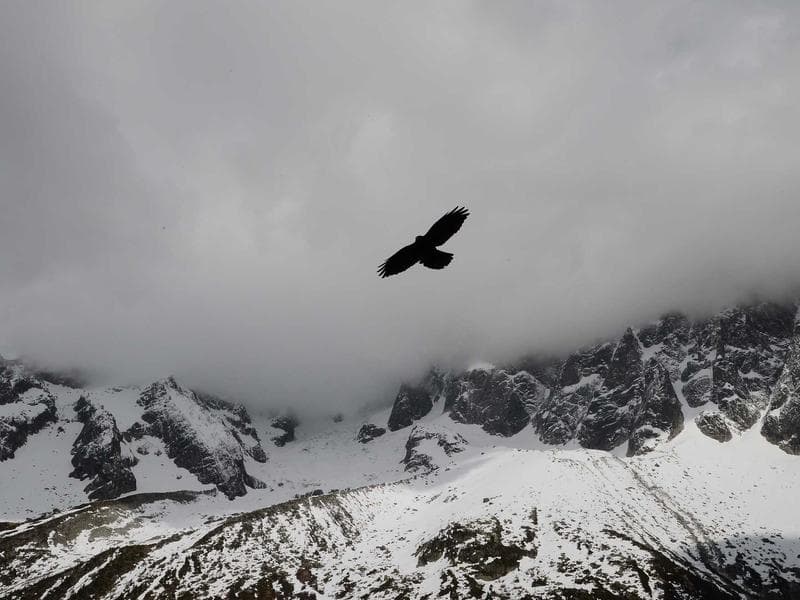 Alpine Retreat floor plan